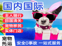正定机场邮寄国际宠物托运 【国